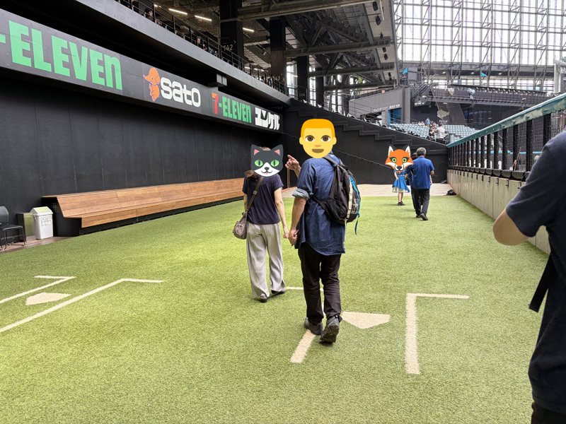 投手が投球練習を行うブルペン、キャッチャー側からの景色